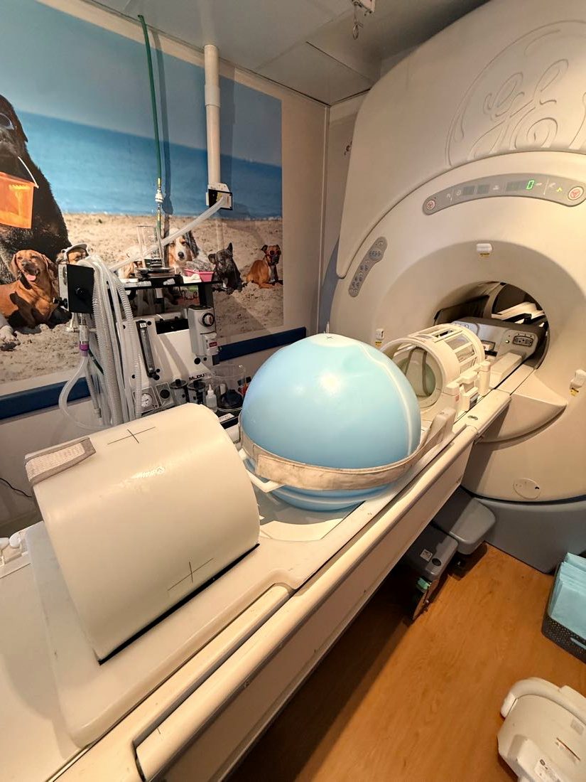 1.5T MRI with the phantom loader set up at the bore on a maintenance visit